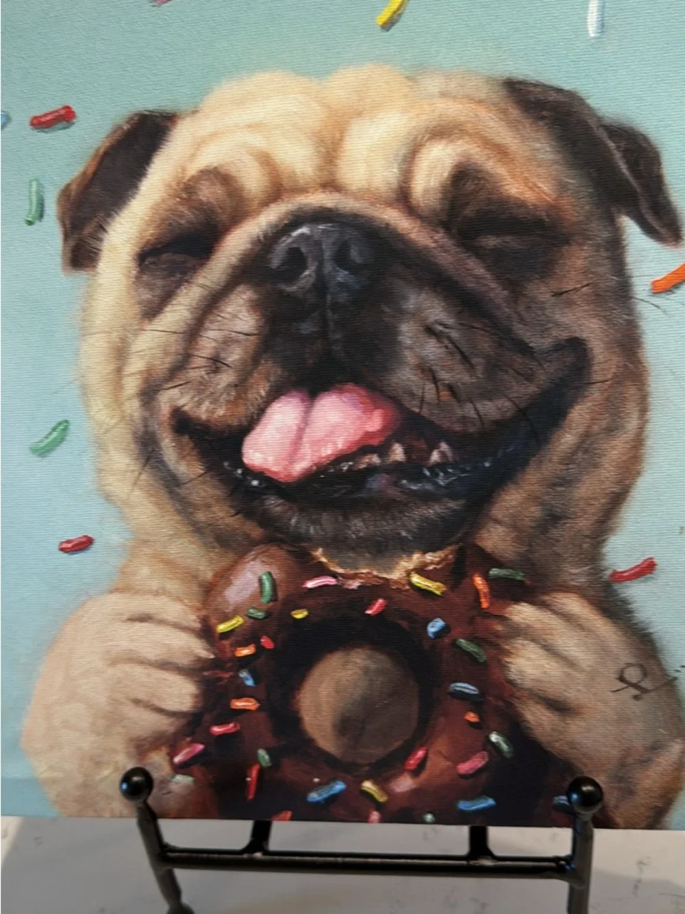N/A smiling pug